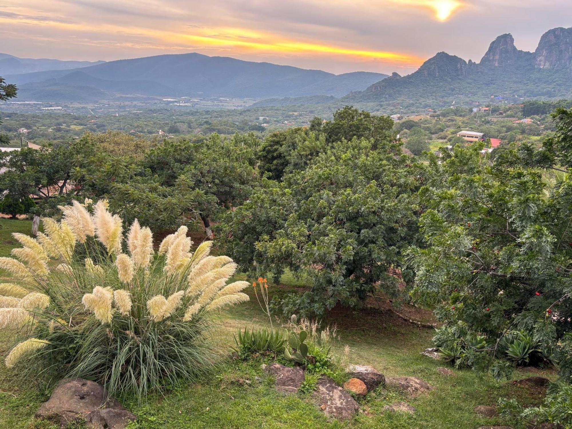 Villa Amara Tepoztlán Extérieur photo